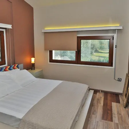 别墅 Lancaster Mansion By Travelpro Services Halkidiki 弗尔卡